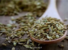 آیا رازیانه سبب افزایش شیرمادر می شود