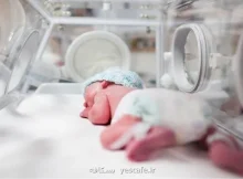 تغذیه پدر می تواند بر سلامت نوزاد تأثیر بگذارد