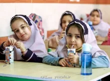 شیوه نامه توزیع شیر مدارس نیاز به اصلاح دارد