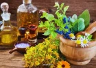پیوند ظرفیتهای علمی جهان اسلام برای گسترش فناوری های گیاهان دارویی