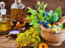 پیوند ظرفیتهای علمی جهان اسلام برای گسترش فناوری های گیاهان دارویی