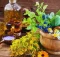 پیوند ظرفیتهای علمی جهان اسلام برای گسترش فناوری های گیاهان دارویی