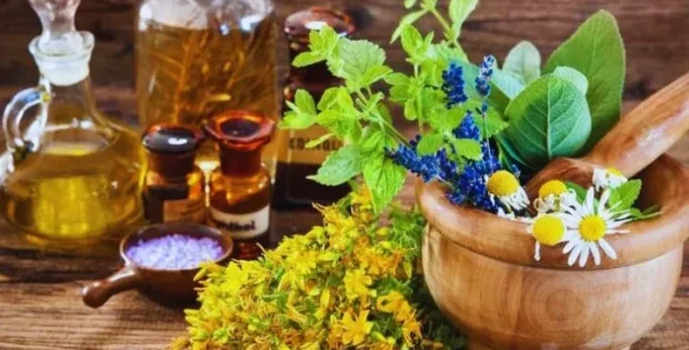 پیوند ظرفیتهای علمی جهان اسلام برای گسترش فناوری های گیاهان دارویی