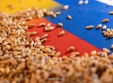 مصرف 4 تا 6 وعده غلات کامل در روز فواید زیادی برای قلب دارد