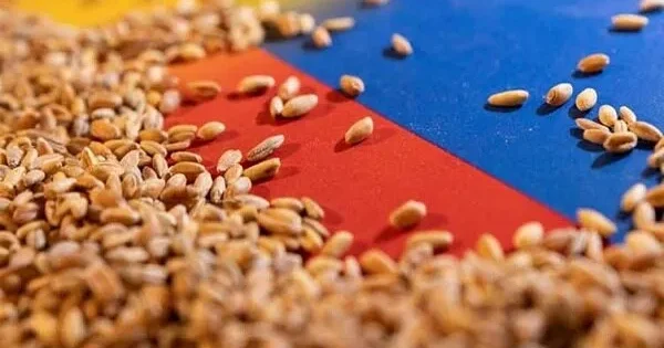 مصرف 4 تا 6 وعده غلات کامل در روز فواید زیادی برای قلب دارد