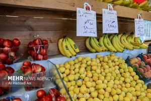 میوه های مفید برای سلامت کلیه را بشناسیم