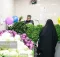 اعلام الزامات سبزی خوردن بسته بندی