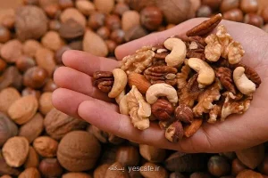 مصرف یک مشت آجیل در روز خطر فشارخون بالا را می کاهد
