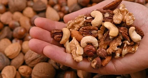 مصرف یک مشت آجیل در روز خطر فشارخون بالا را می کاهد